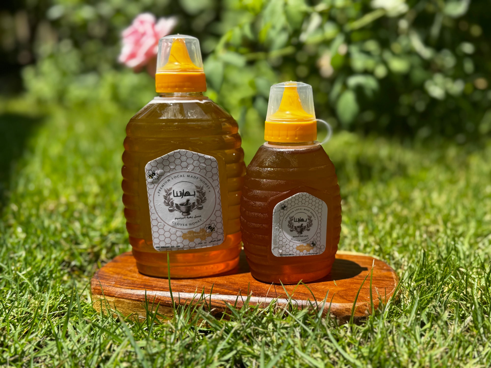 Clover Honey