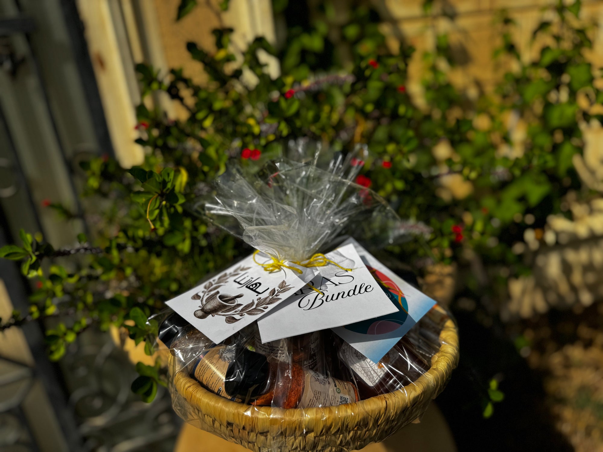Sara’s’ bundle